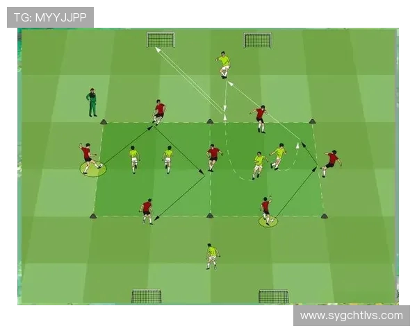 全方位解读足球：历史、战术与明星