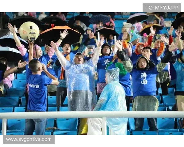 当足球点燃世界激情从绿茵赛场到球迷文化的全面观察与思考新趋势