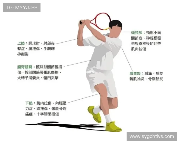 网球运动的技术演变与发展趋势分析：从基础到高阶技巧的全面解析