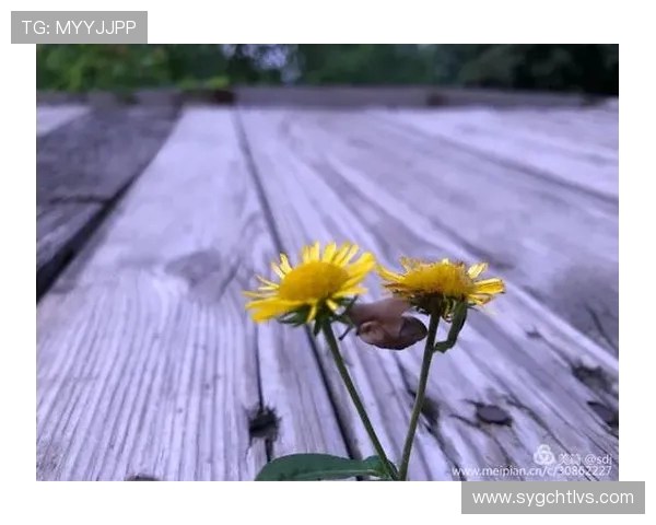 与黄丽对话：探索她的攀岩旅程与人生哲学