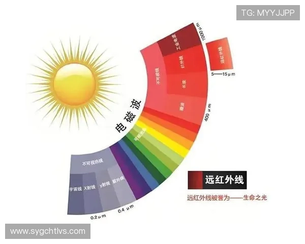 从零起步掌握网球技巧与战术的全面指南与实用技巧分享
